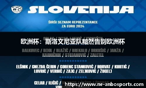 欧洲杯:斯洛文尼亚队黯然告别欧洲杯